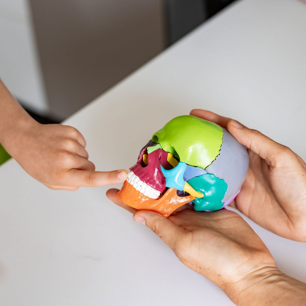 Ein Kind zeigt mit seinem Finger auf einen bunten Kopf